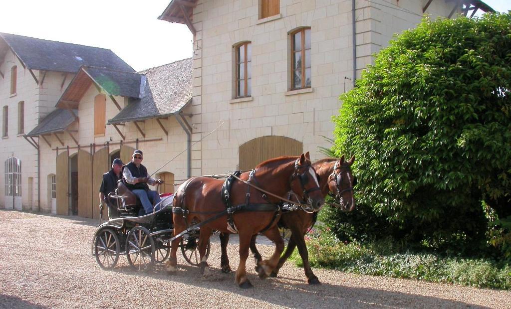 Demeure De Beaulieu Bed & Breakfast Le Coudray-Macouard Dış mekan fotoğraf