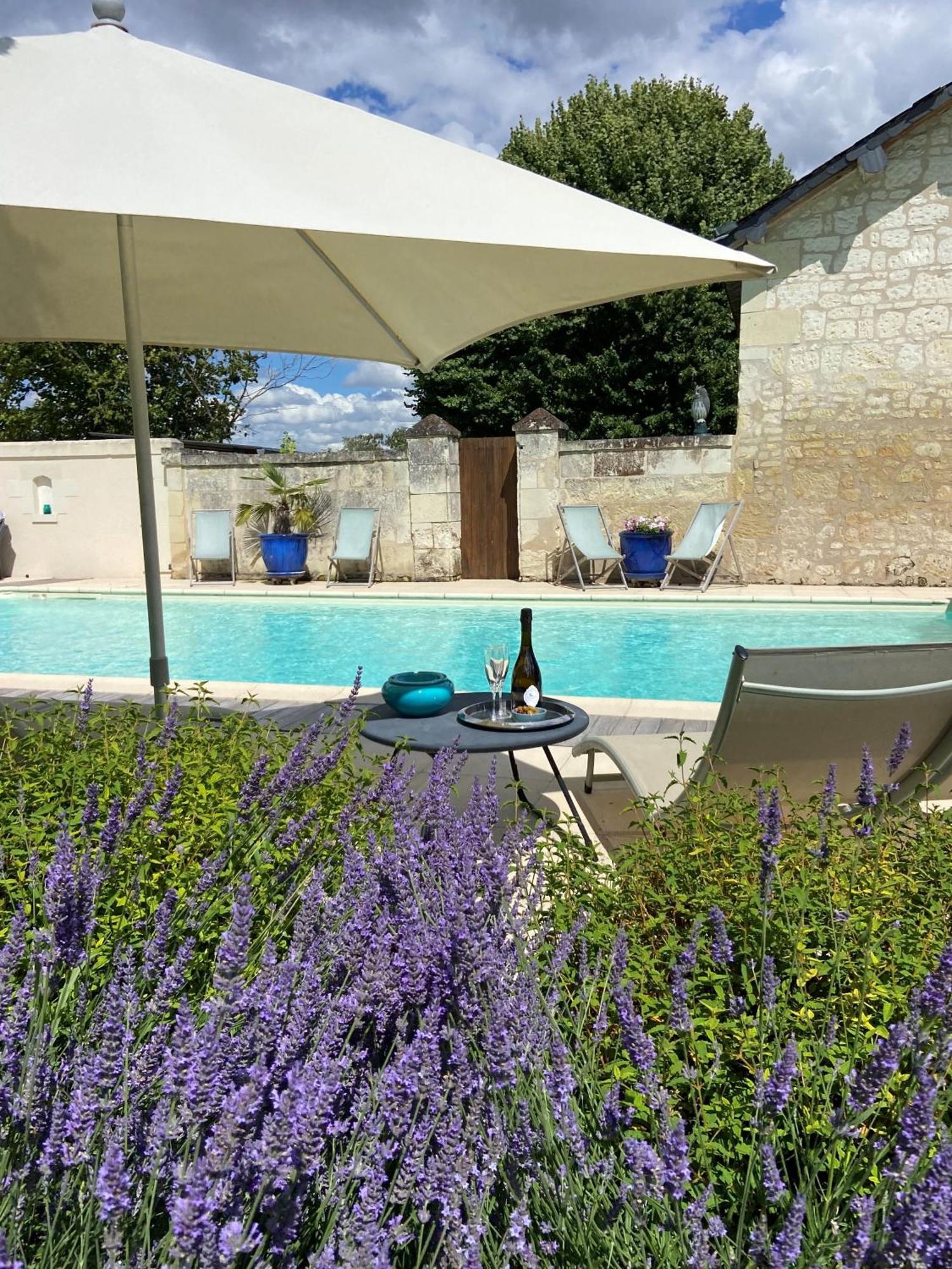Demeure De Beaulieu Bed & Breakfast Le Coudray-Macouard Dış mekan fotoğraf