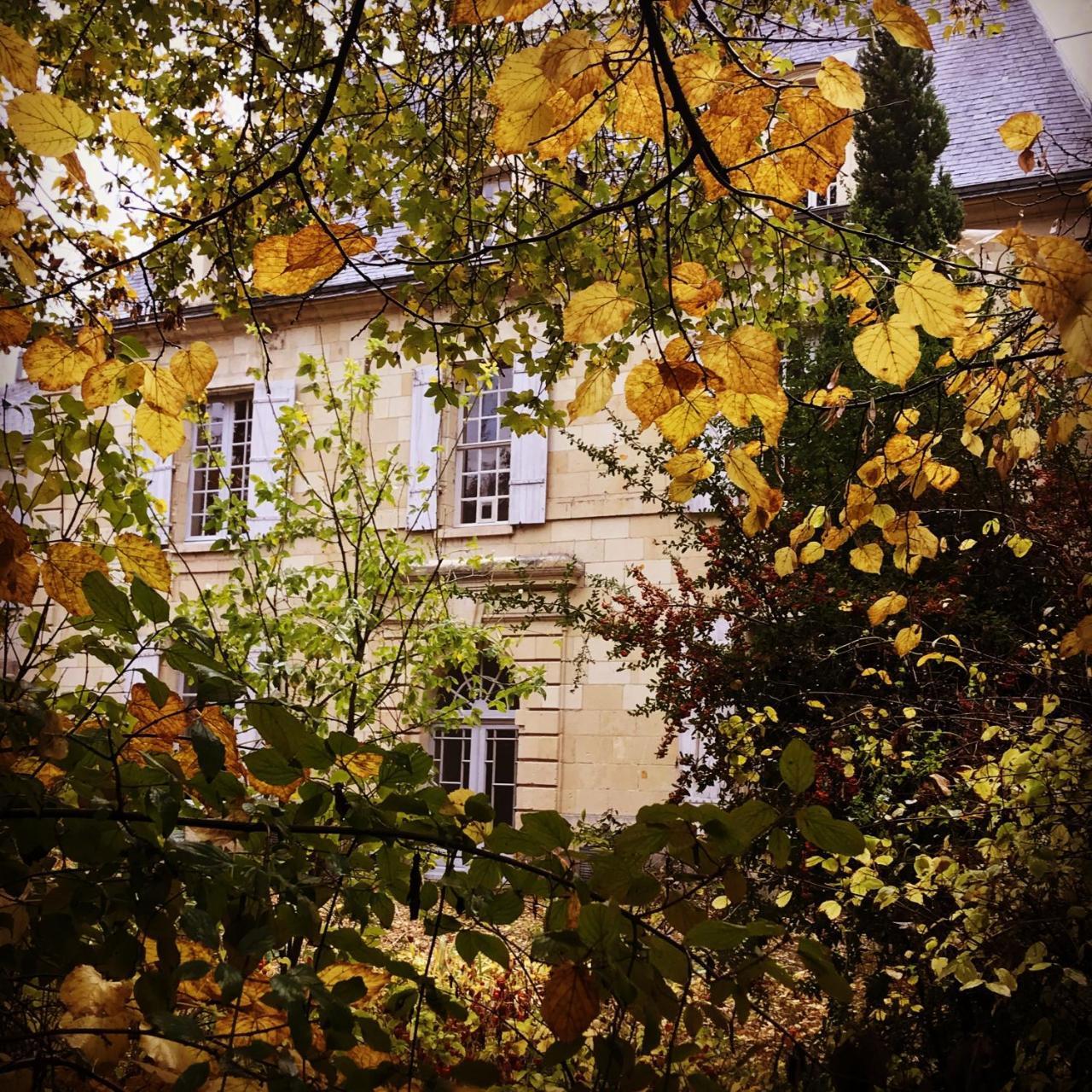 Demeure De Beaulieu Bed & Breakfast Le Coudray-Macouard Dış mekan fotoğraf